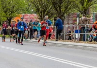 Z 400 śmiałków na starcie, maraton ukończyło 253 - zdjęcie główne
