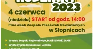 Atrakcje w programie rodzinnego pikniku - zdjęcie 2
