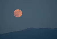 Truskawkowa Pełnia Księżyca. Co to jest? - zdjęcie główne