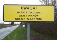 "Strefa objęta zakażeniem" na Limanowszczyźnie - zdjęcie główne