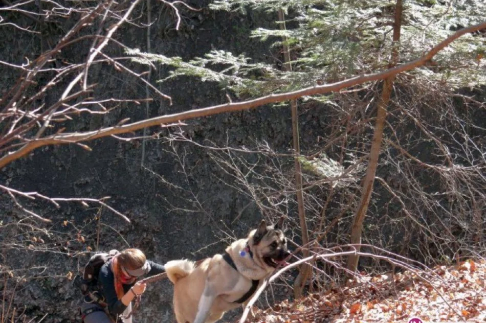 Komunikat - wykaz nieruchomości przeznaczonych do dzierżawy (15.12.2011 r. - 5.01.2012 r.) - zdjęcie 2