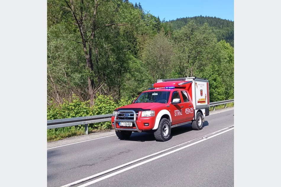Zasnęła za kierownicą, samochód wypadł z drogi - zdjęcie 2