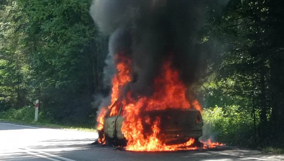 Samochód spłonął na drodze - zdjęcie 1