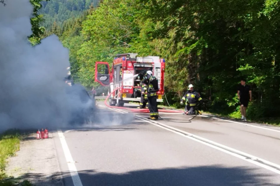 Samochód spłonął na drodze - zdjęcie 4