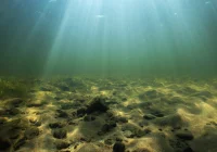 Kraków: Śmiertelny skok do wody w nowo otwartym parku Zakrzówek - zdjęcie główne