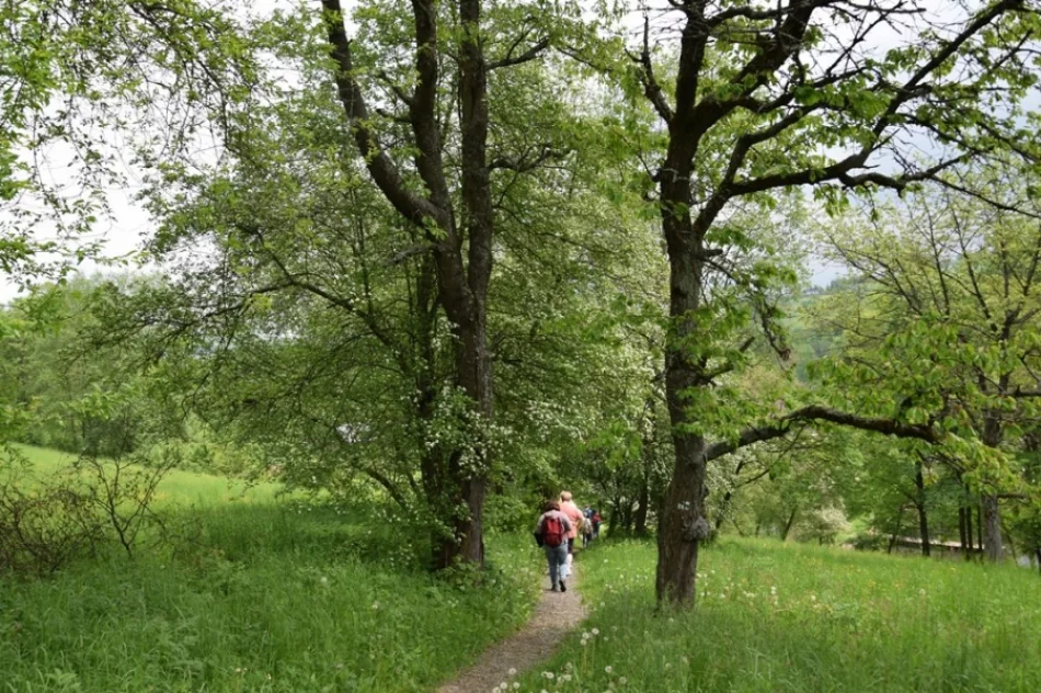 Krzemienny Krąg w Zagórzańskich Dziedzinach - zdjęcie 17