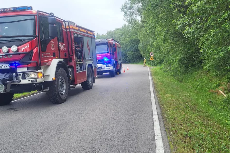 Zderzenia samochodów osobowych i ciężarowych - zdjęcie 2
