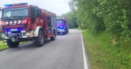 Zderzenia samochodów osobowych i ciężarowych - zdjęcie 2