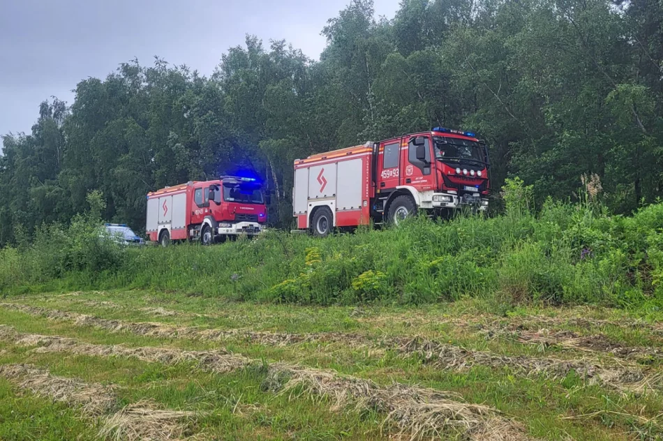 Zderzenia samochodów osobowych i ciężarowych - zdjęcie 5