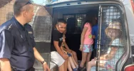 Spotkania policyjnych profilaktyków z dziećmi - zdjęcie 2