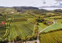 Niespokojnie na rynku owoców. Sadownicy z obawami - zdjęcie główne