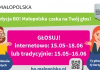 Pomysły czekają na głosy i możliwość realizacji - zdjęcie główne