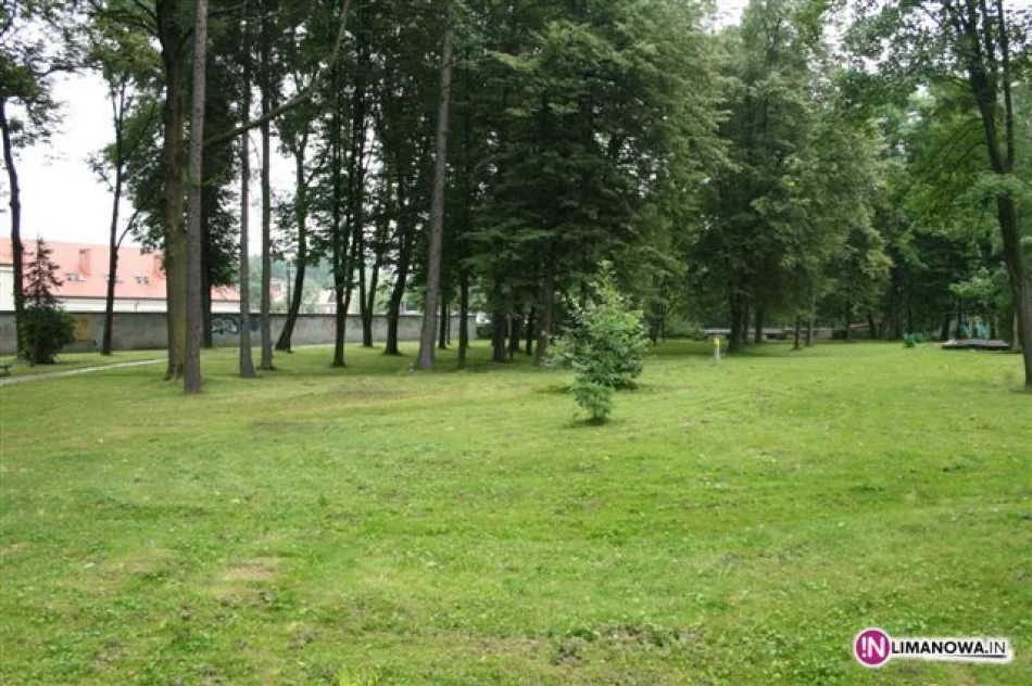 Kto kosi w parku miejskim? - zdjęcie 3