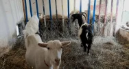 Wakacyjna przygoda z Muzeum – ruszają zapisy na zajęcia! - zdjęcie 2