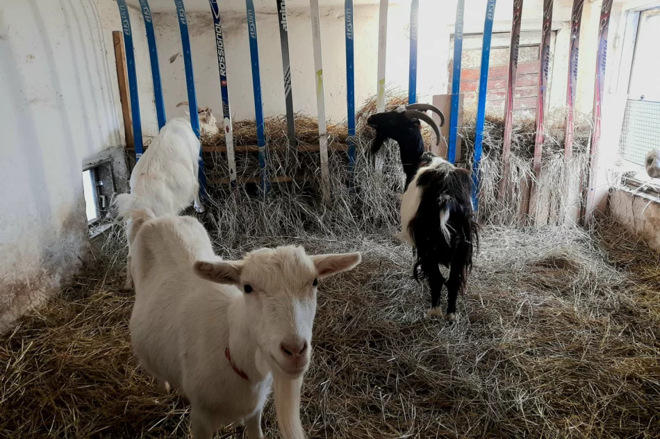 Wakacyjna przygoda z Muzeum – ruszają zapisy na zajęcia! - zdjęcie 2