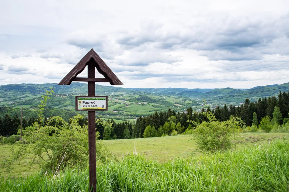 Wakacyjna przygoda z Muzeum – ruszają zapisy na zajęcia! - zdjęcie 5