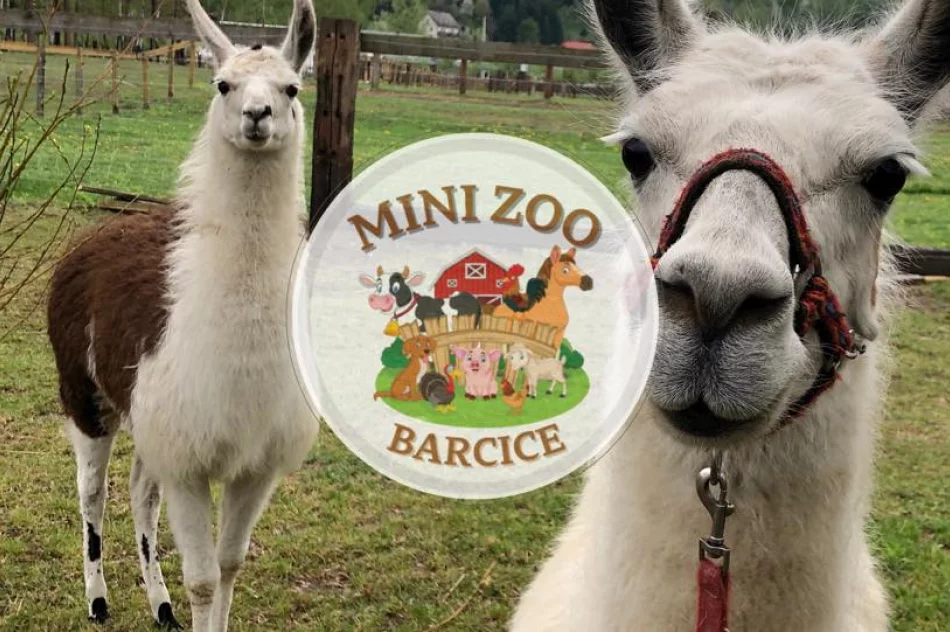 Wakacyjna przygoda z Muzeum – ruszają zapisy na zajęcia! - zdjęcie 6