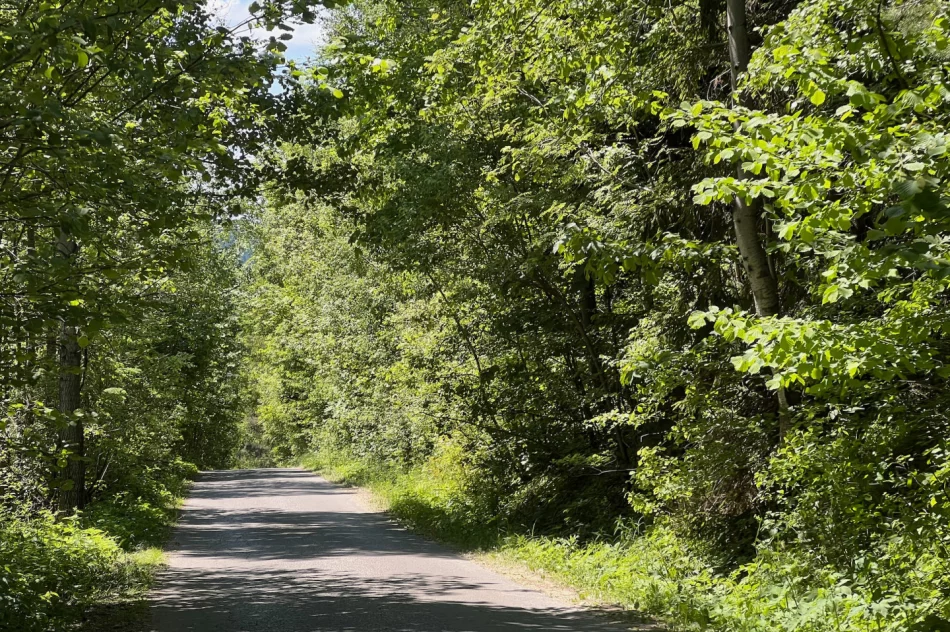 Drogą osiedlową jeżdżą TIR’y i tworzą się zatory. Błąd w Google Maps - zdjęcie 3