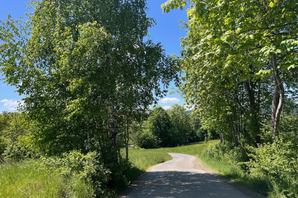 Drogą osiedlową jeżdżą TIR’y i tworzą się zatory. Błąd w Google Maps - zdjęcie 6