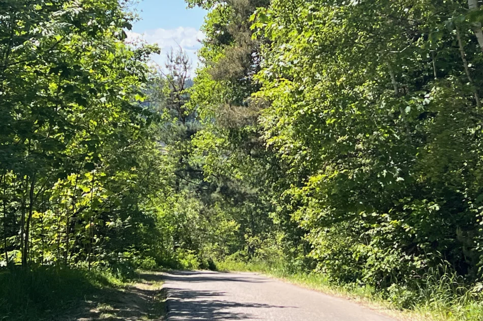 Drogą osiedlową jeżdżą TIR’y i tworzą się zatory. Błąd w Google Maps - zdjęcie 7