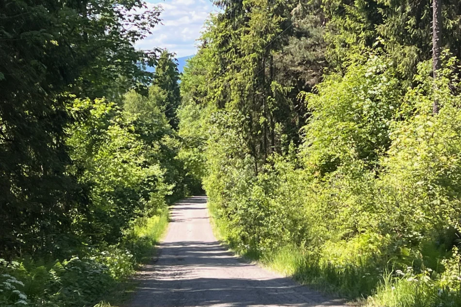 Drogą osiedlową jeżdżą TIR’y i tworzą się zatory. Błąd w Google Maps - zdjęcie 8