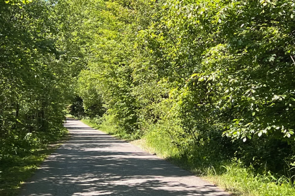 Drogą osiedlową jeżdżą TIR’y i tworzą się zatory. Błąd w Google Maps - zdjęcie 11