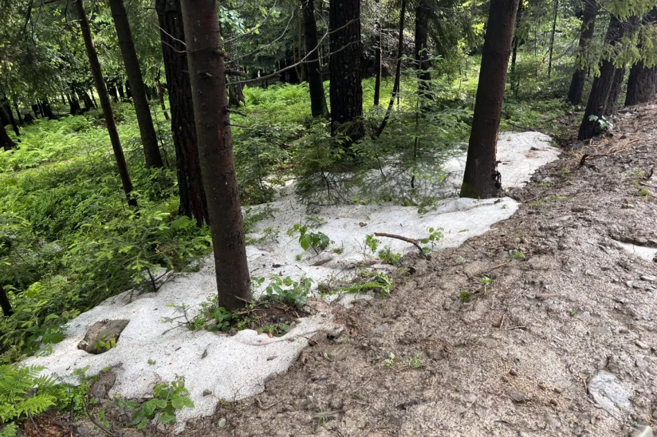 Nad Limanowszczyzną przeszły burze z gradobiciem - zdjęcie 3