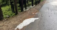 Nad Limanowszczyzną przeszły burze z gradobiciem - zdjęcie 4