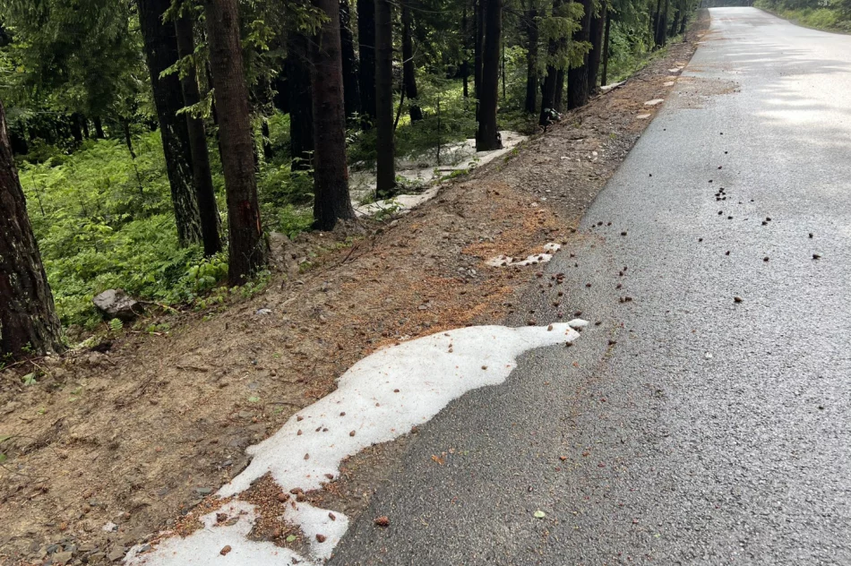 Nad Limanowszczyzną przeszły burze z gradobiciem - zdjęcie 4