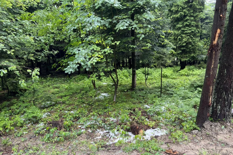 Nad Limanowszczyzną przeszły burze z gradobiciem - zdjęcie 5