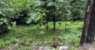 Nad Limanowszczyzną przeszły burze z gradobiciem - zdjęcie 5