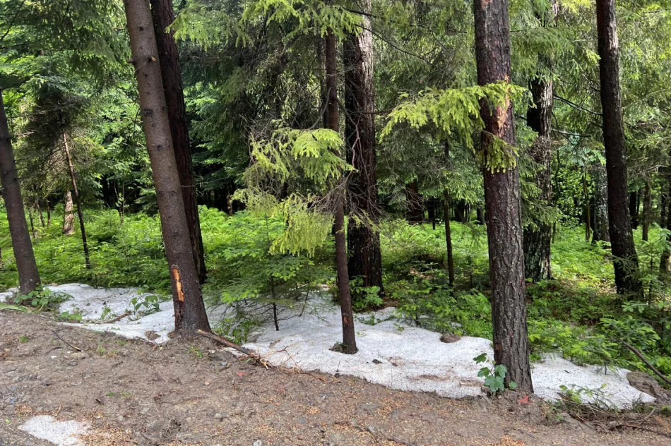 Nad Limanowszczyzną przeszły burze z gradobiciem - zdjęcie 7