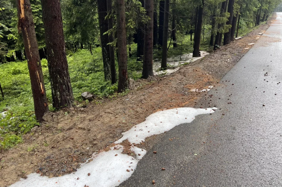 Nad Limanowszczyzną przeszły burze z gradobiciem - zdjęcie 12