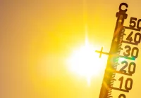 Dietetyk: upał jest stresem dla organizmu, zwiększa się wydzielanie kortyzolu - zdjęcie główne