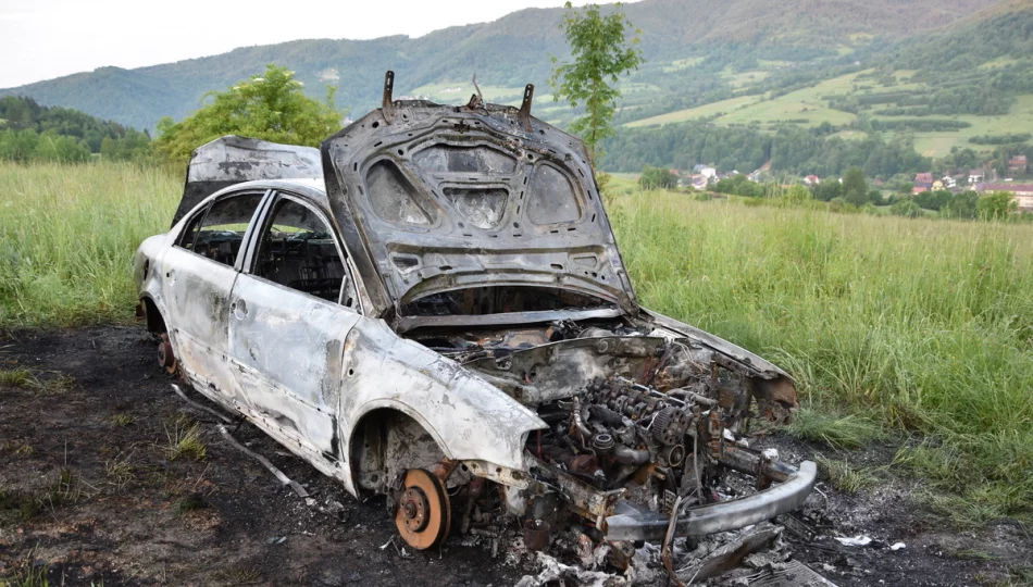 Porwali i pobili mężczyznę, spalili jego auto - zdjęcie 1