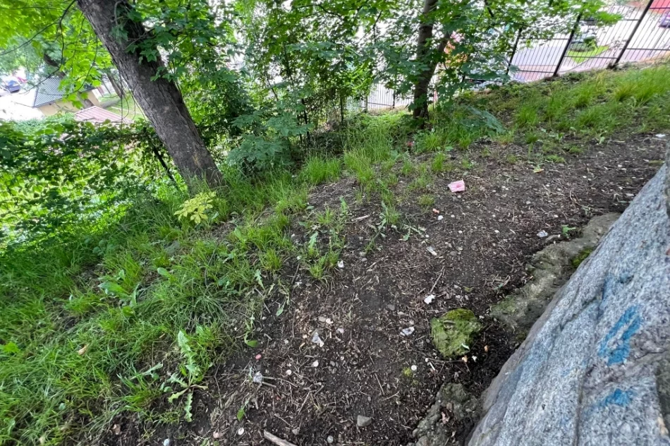 Zabytkowa ławka i rynna uszkodzona. Kamera... atrapą?  - zdjęcie 10