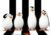 Premiera w kinie Klaps – „Pingwiny z Madagaskaru” na ekranie od 30 stycznia - zdjęcie główne