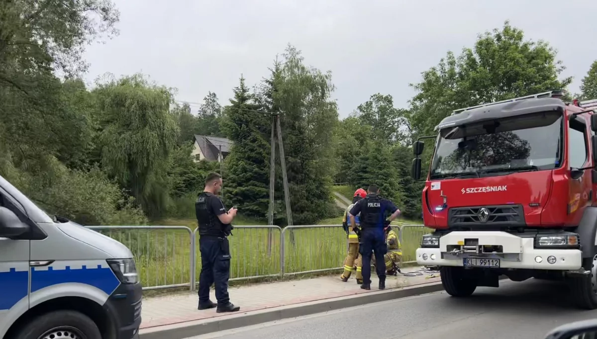 Służby na pomoc sarnie