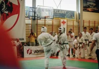 Zmagania młodych karateków na żywo - zdjęcie główne