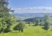 Upały i możliwe burze - tygodniowa prognoza pogody - zdjęcie główne