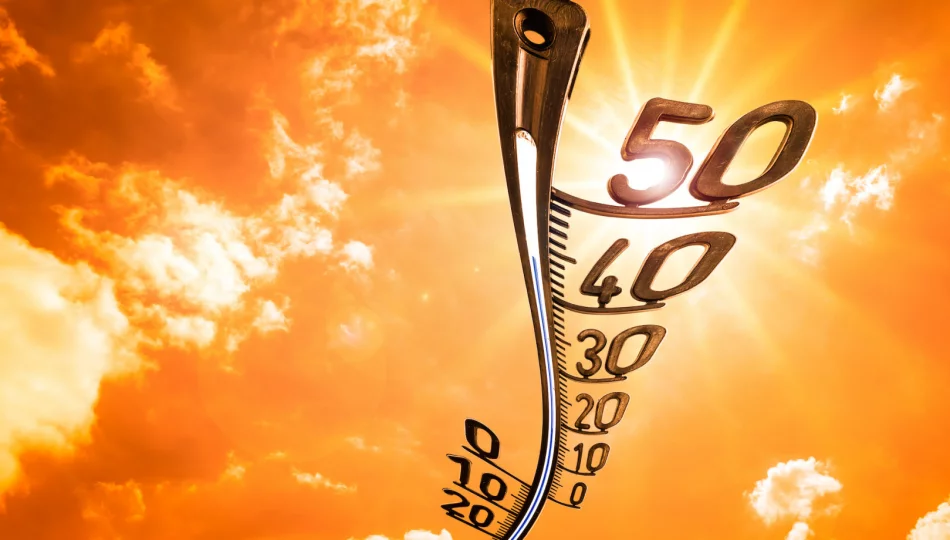 IMiGW: Rekordowy ciepły rok i ekstremalnie ciepłe lato? - zdjęcie 1