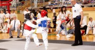 Turniej „One World One Kyokushin” przyciągnął do Limanowej młodych karateków - zdjęcie 5