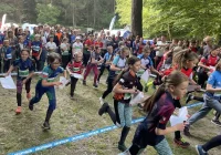 Mistrzostwa Polski Młodzików w Biegu na Orientację - zdjęcie główne