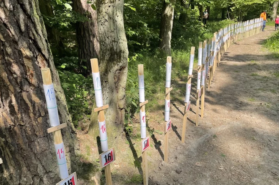 Mistrzostwa Polski Młodzików w Biegu na Orientację - zdjęcie 14