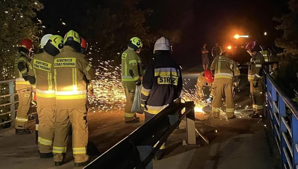 Sarna wtargnęła na jezdnię, auto uderzyło w barierę mostu - zdjęcie 1