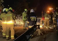 Sarna wtargnęła na jezdnię, auto uderzyło w barierę mostu - zdjęcie główne