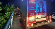Sarna wtargnęła na jezdnię, auto uderzyło w barierę mostu - zdjęcie 2