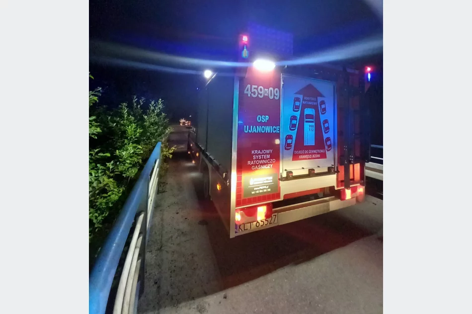 Sarna wtargnęła na jezdnię, auto uderzyło w barierę mostu - zdjęcie 2