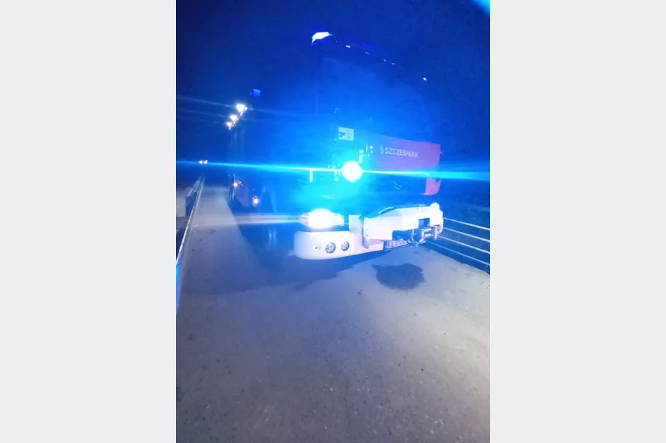 Sarna wtargnęła na jezdnię, auto uderzyło w barierę mostu - zdjęcie 3