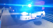 Sarna wtargnęła na jezdnię, auto uderzyło w barierę mostu - zdjęcie 3